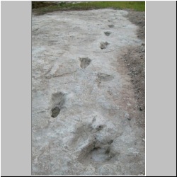 102_6595 (2013-08-10) tilt m.JPG